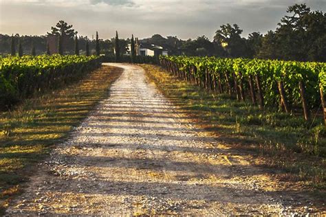 Meteo Friuli Cielo Variabile Su Tutta La Regione UDINE News