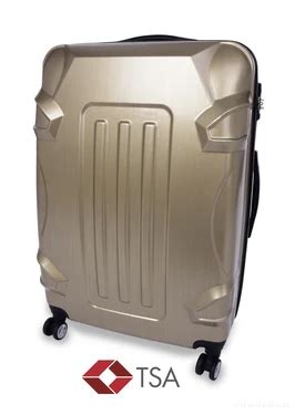 Va E Dedra Ofici Ln Str Nky Luggage Vase Suitcase