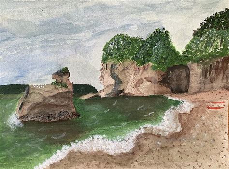 Cathedral Cove New Zealand Painting By Christopher Dworin Pixels