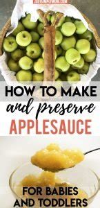 How to Make and Preserve Fresh, Healthy Applesauce for Babies and ...