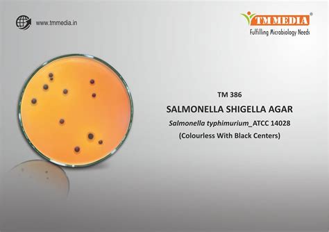 tm media ss   originally developed   selective