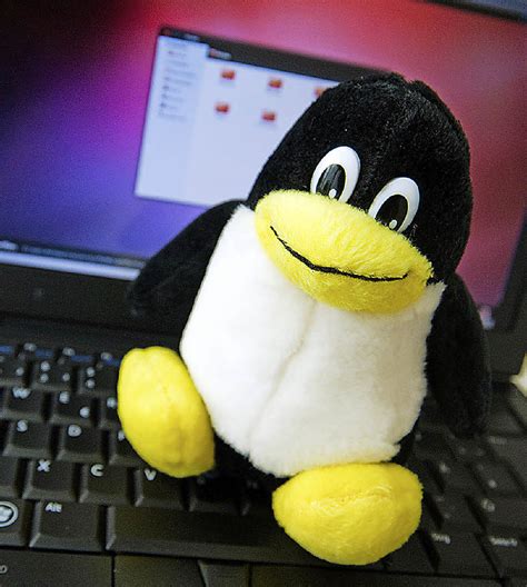 Linux als Alternative - Computer & Medien - Badische Zeitung