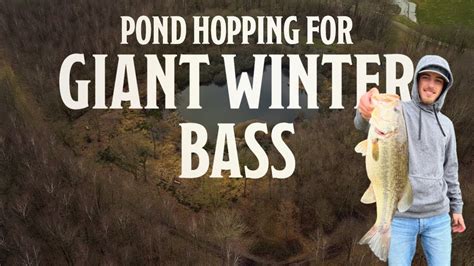 Pond Hopping For Giant Winter Bass Youtube