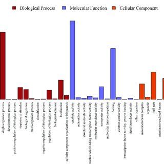 Gene Ontology GO Classification Of Differentially Expressed Proteins