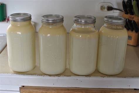 How To Make Butter Step By Step Guide With Pictures Raw Milk Tips