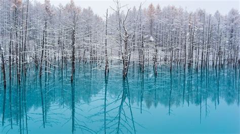 "The Light Blue Pond, Hokkaido" : r/MostBeautiful