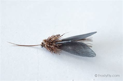 Realistic Caddis Fly Dry Frostyfly