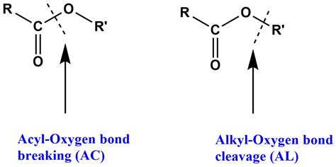 Ester hydrolysis: Easy Introduction with 8 mechanisms - Chemistry Notes