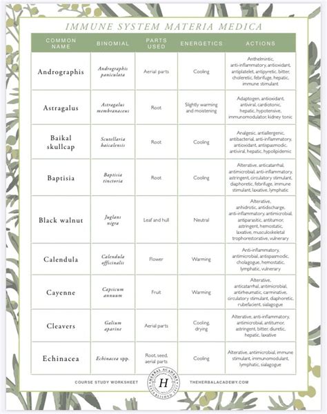 Immune System Materia Medica In Materia Medica Herbal