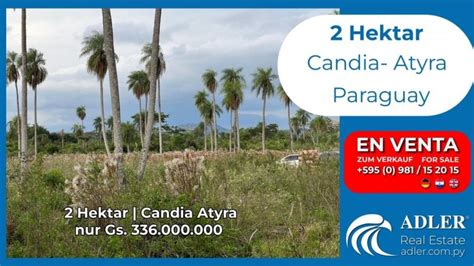 Terreno En Venta En 42495 Cordillera 2 Hectareas G 336 000 000