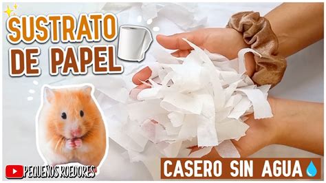 Como HACER SUSTRATO Para HAMSTER CASERO SIN AGUA YouTube