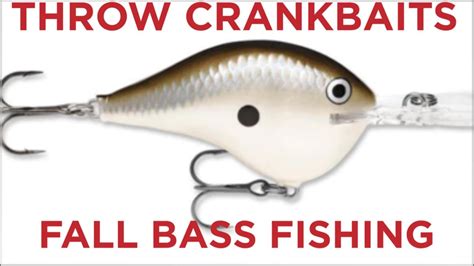 Fall Crankbaits To Catch More Bass Youtube