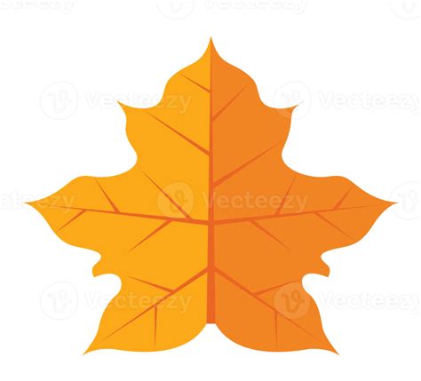 Autumn leaves cartoon 12067328 PNG