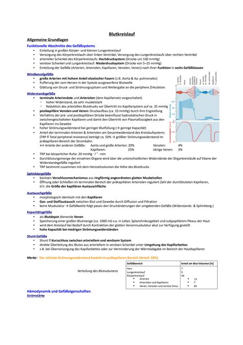 Solution Blutkreislauf Kurzlehrbuch Physiologie Studypool