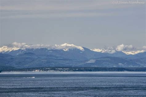 Pacific Northwest Photography Olympic Mountains