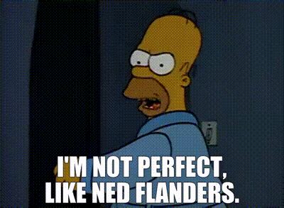 Yarn I M Not Perfect Like Ned Flanders The Simpsons