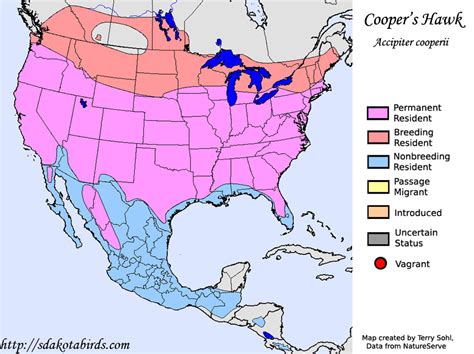 Cooper's Hawk - Species Range Map