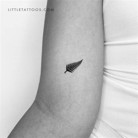 Fern Temporary Tattoo - Set of 3 – Little Tattoos