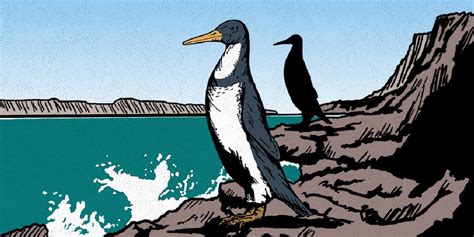 Giant penguin fossil shows 'monster-bird' that used to roam the earth