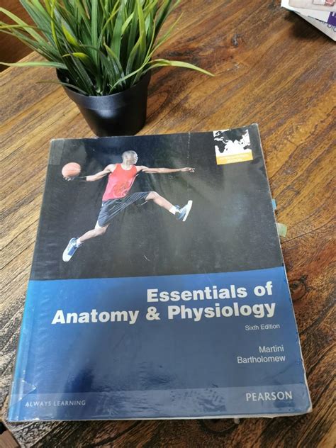 Anatomy and Physiology Textbook, Hobbies & Toys, Books & Magazines ...