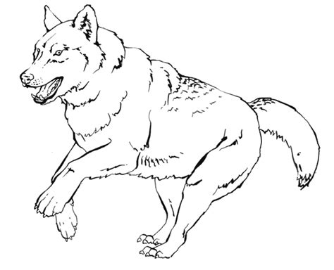 Coloriage Loup et des dessins Animaux à colorier Coloriages dessin