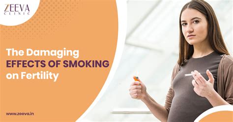 The Damaging Effects Of Smoking On Fertility