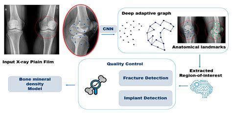 Biomedicines Free Full Text Application Of Artificial Intelligence