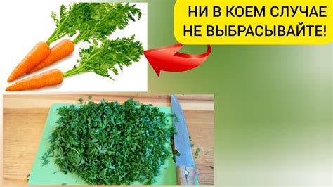 Морковная Ботва. Польза, применение. - YouTube
