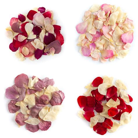 Rose Petal Confetti - 100% natural and biodegradable