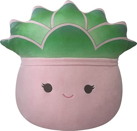 New Original Squishmallow Afiyah The Succulent In