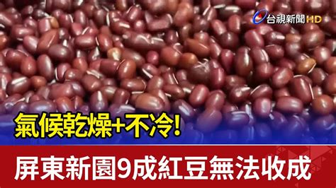 氣候乾燥不冷 屏東新園9成紅豆無法收成 Youtube