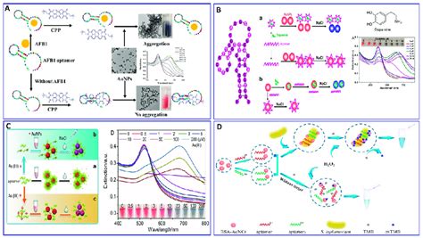 A Schematic Illustration Of Afb1 Assay With The Label Free Download Scientific Diagram