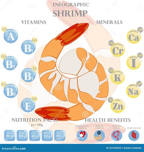 Shrimp Nutrition Facts And Health Benefits Infographic Stock Vector