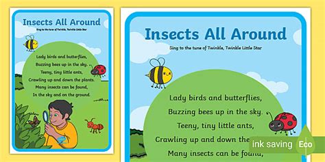 Insects Poster Poem Teaching Resources Twinkl