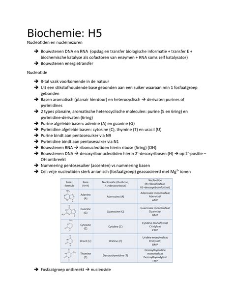 Biochemie H5 biochemie Biochemie H Nucleotiden en nucleïnezuren