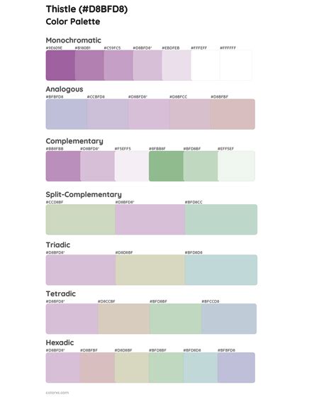 Thistle Color Palettes