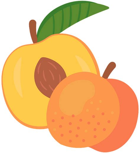 Peach Clipart Clip Art Library