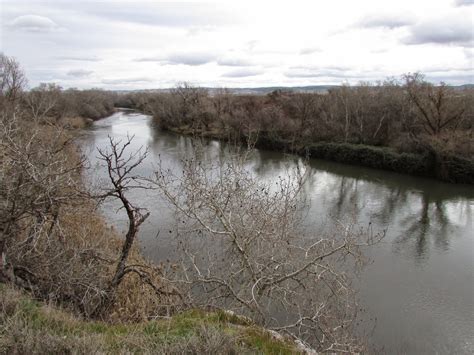 De Campo Por El Parque Regional Del Sureste Madrile O La Presa Del Rey