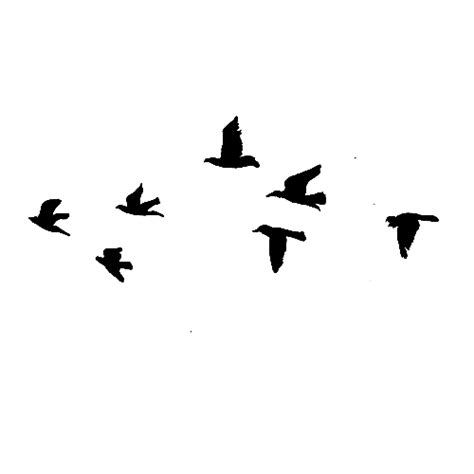 Flying Birds - Cliparts.co