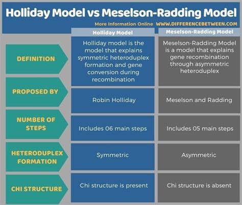 Difference Between Holliday Model And Meselson Radding Model Chemical