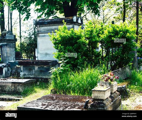 Tombstones In Cemetery At Dusk Gothic Style Crosses Paris Stock Photo