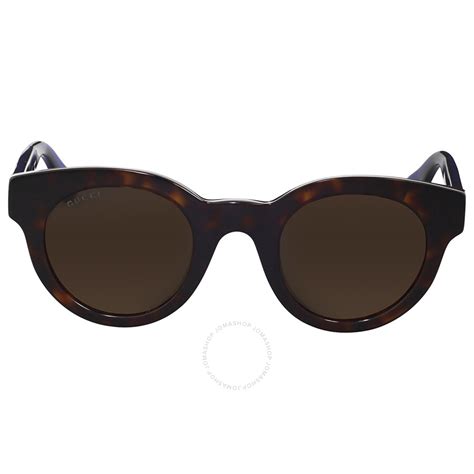 Gucci Dark Havana Round Sunglasses Gucci Sunglasses Jomashop