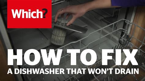 How To Repair A Dishwasher That Won T Drain Which Advice Youtube