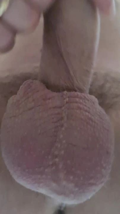Introducing The Sac And Its Balls Gay Amateur Porn Feat Testicarl XHamster