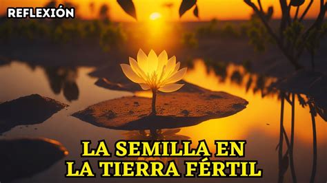 La Semilla En La Tierra F Rtil Reflexi N Aprende A Ser Feliz