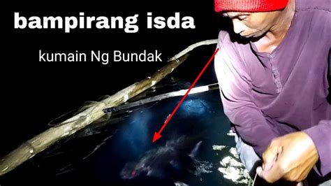 Parang Bampirang Isda Ang Kumakain Sa Bundak Mapula Ang Mata YouTube