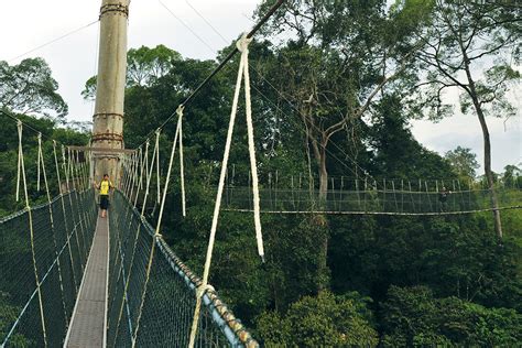 Malaysia Truly Asia - Taman Negara