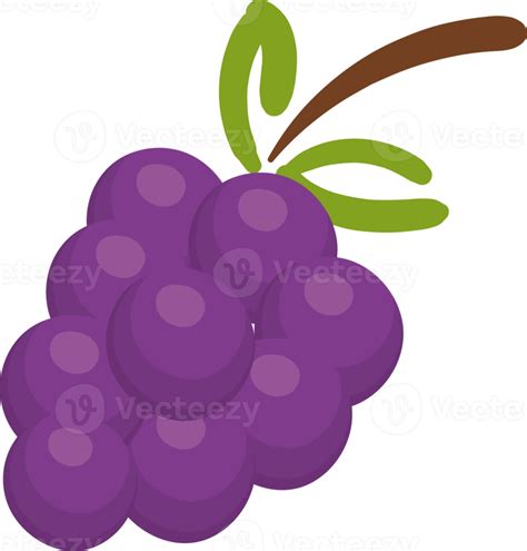 Dibujos Animados De Ilustración De Fruta De Uva 9596910 Png