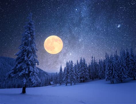 Snow Moon Wisdom: Gardening Secrets Revealed