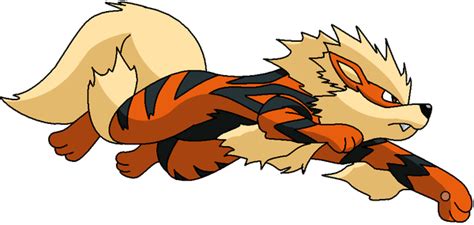 059 Arcanine เจาะลึก หมาไฟในตำนาน Top Tier Fire Pokemon